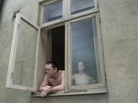 «Голубь сидел на ветке, размышляя о жизни»: Я рад, что у тебя все хорошо - фото №1