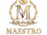 Международный фестиваль искусств и кино «Maestro»