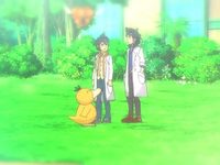  XY:   (2014) 
