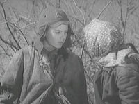   12 (1942) -  -  3