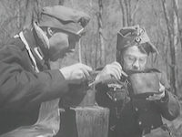   12 (1942) -  -  33