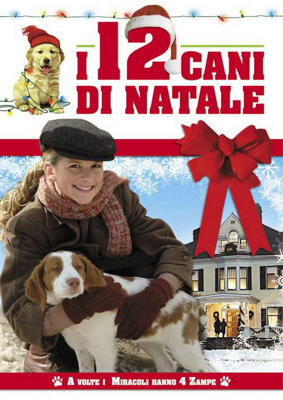 12   (2005)