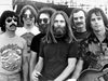    Grateful Dead