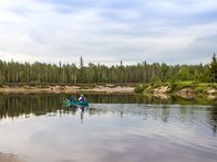 «Мёртвые ласточки» прилетят в Карелию