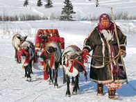 Фестиваль российского кино пройдет в Донецке
