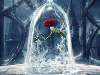 Постер к сказке «Красавица и чудовище»